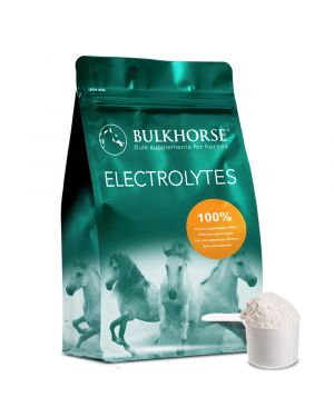 Elektrolyten paard
