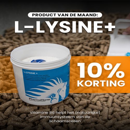 IMG-PVDM-Juni-W21-V1_500x500